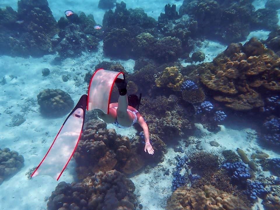 snorkeling , Krabi