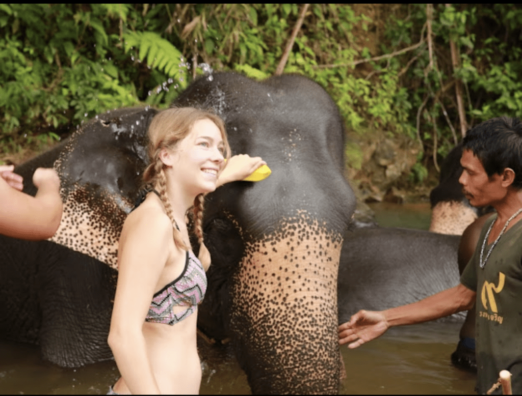 Elephant bathing, Sanctuary