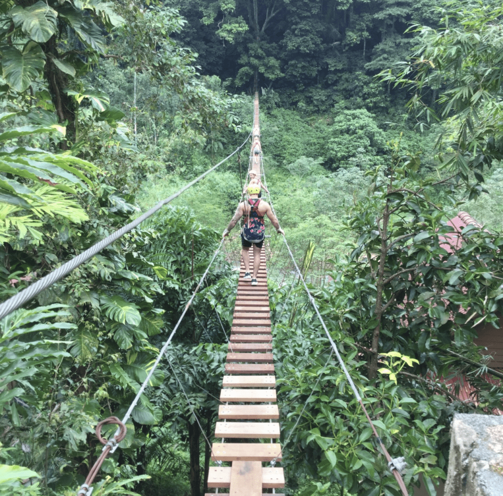 Rope Bridge Adventure