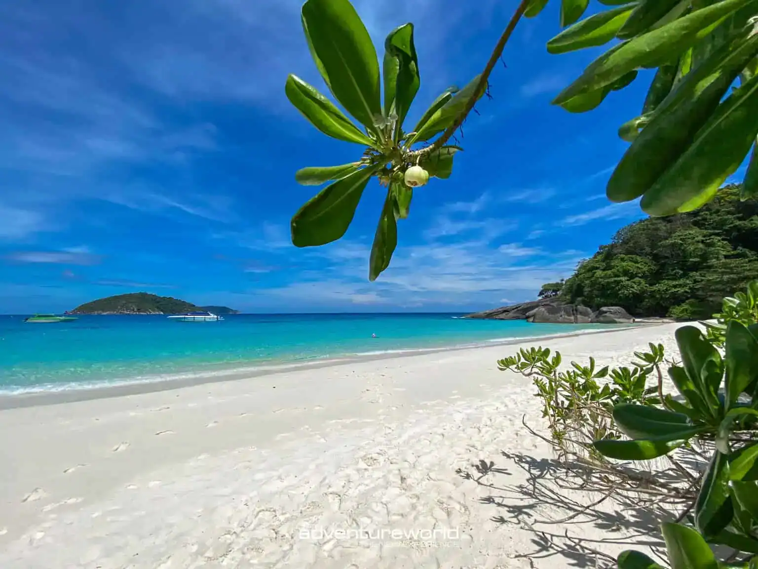 White sandy beach Koh Miang Island No.4 Similan Islands