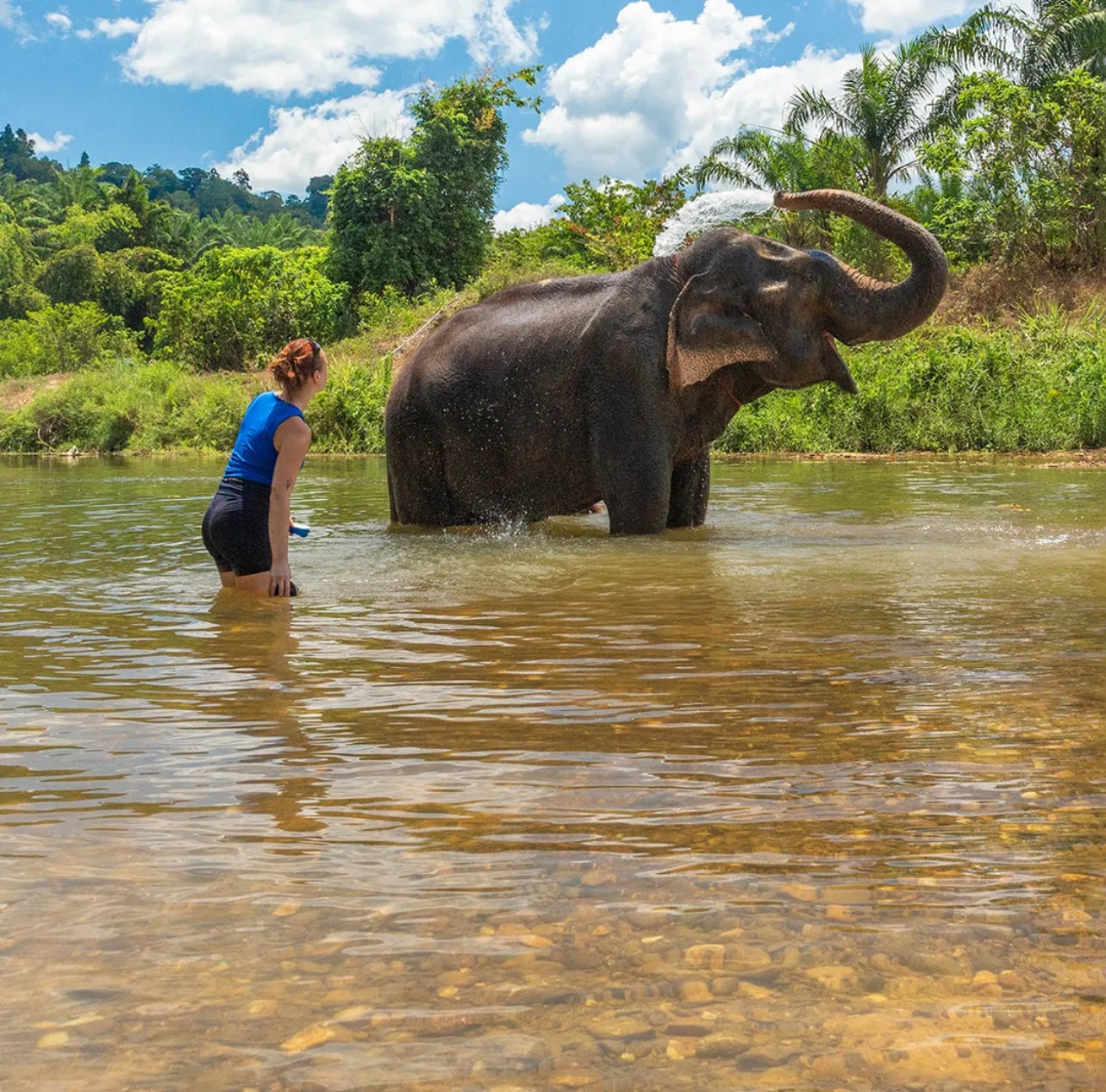 Khao Sok National Park | 2 Days with overnight | Elephants | Khao Sok ...