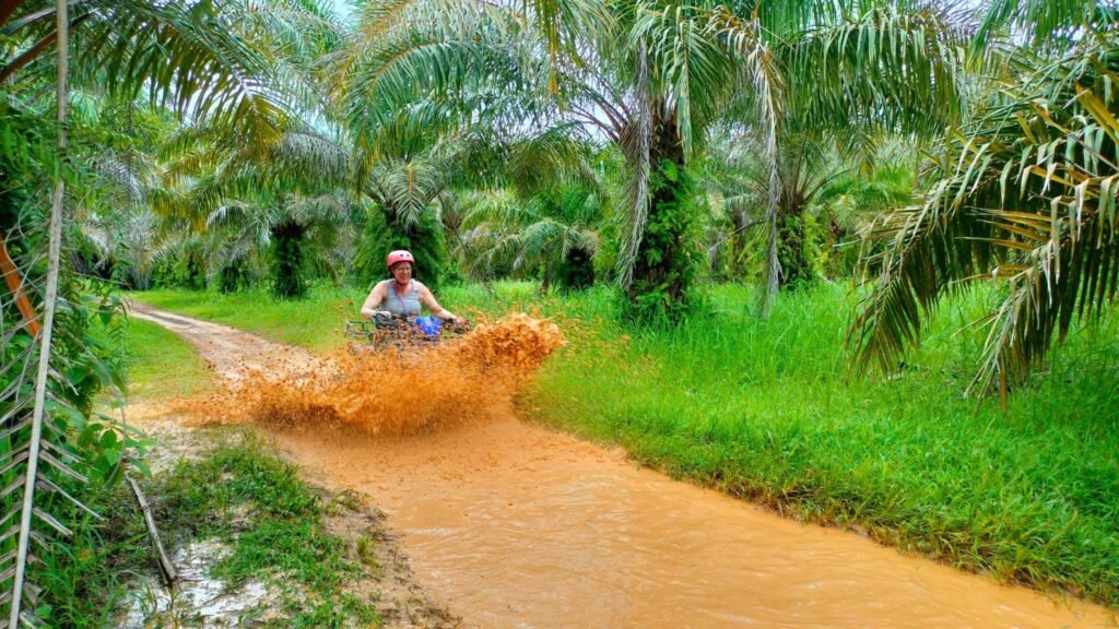 ATV Quad Safari