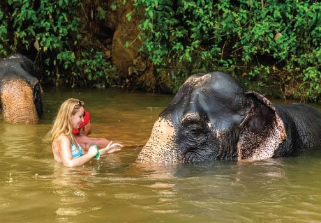 Tourist enjoying elephant bathing activity at an ethical sanctuary in Khao Lak near Phuket