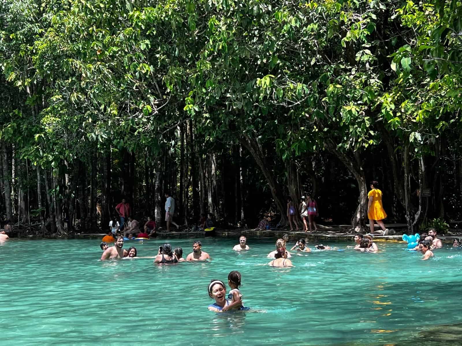 The turquoise Emerald Pool (Sa Morakot) in the Krabi rainforest, Thailand