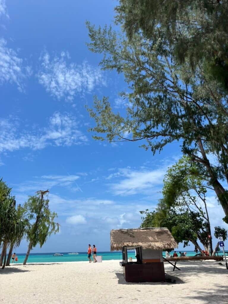 Phi Phi islands by speedcatamaran | best for families | later start | comfortable | Bamboo ISland