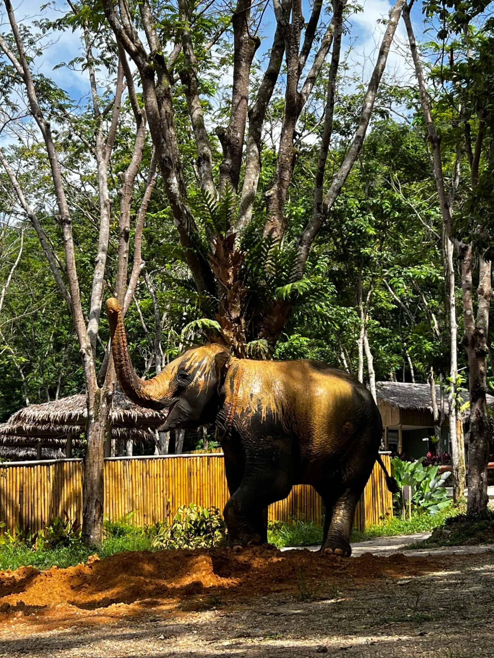 Natural Behaviour & the Sanctuary Story