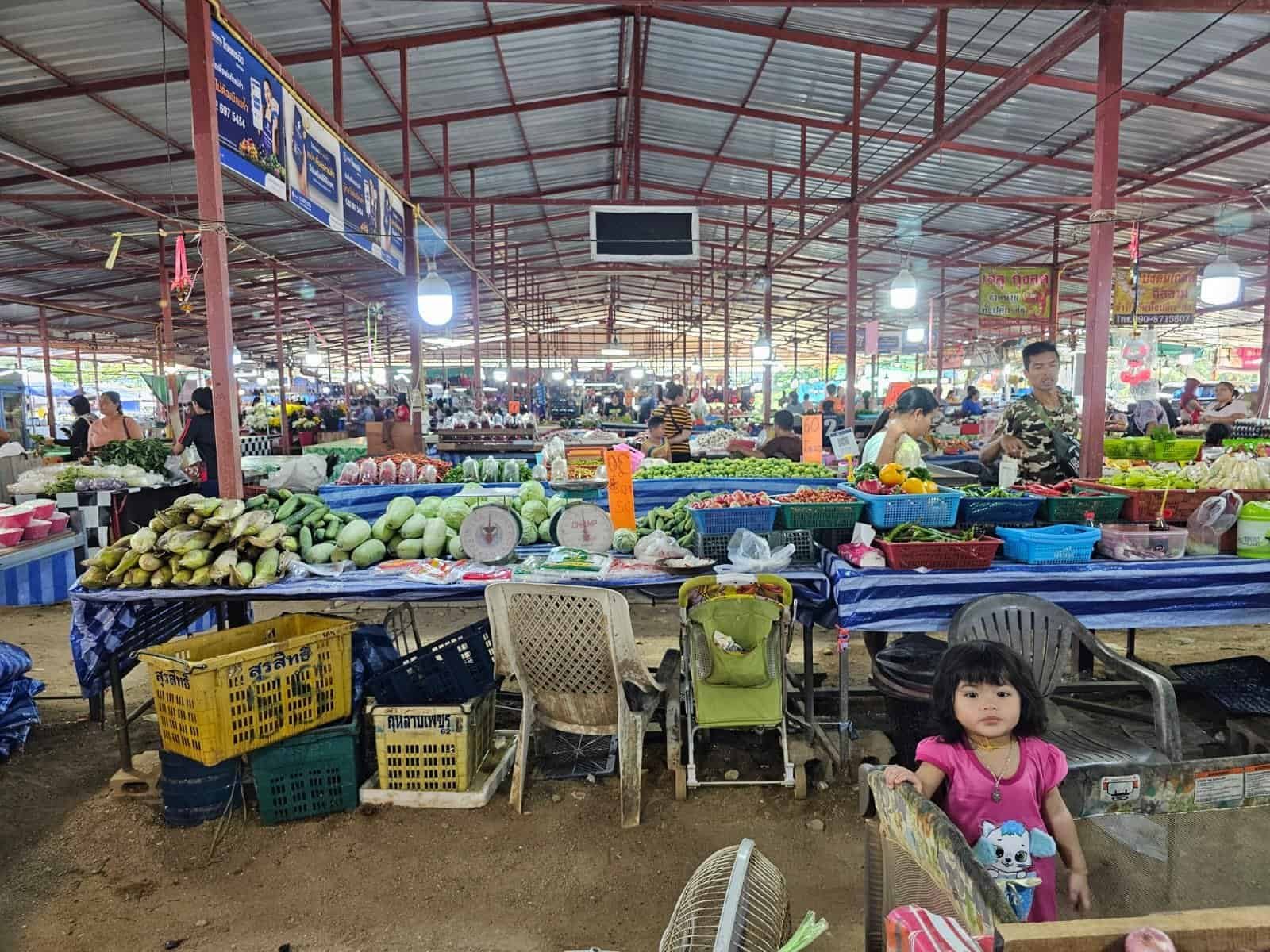 Fresh ingredients, herbs and exotic spices at a local Thai market near Khao Lak